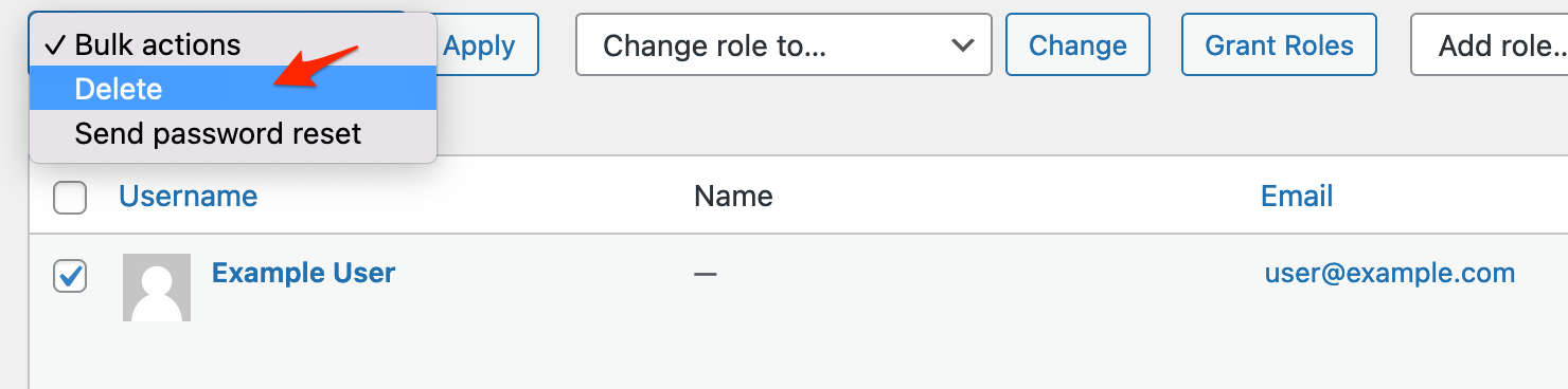 Screenshot: WordPress User Admin Screen showing "Bulk Options" Select list with an arrow pointed to "Delete" option