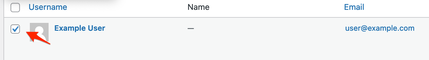 Screenshot of WordPress User Admin Screen, showing an example of a selected user